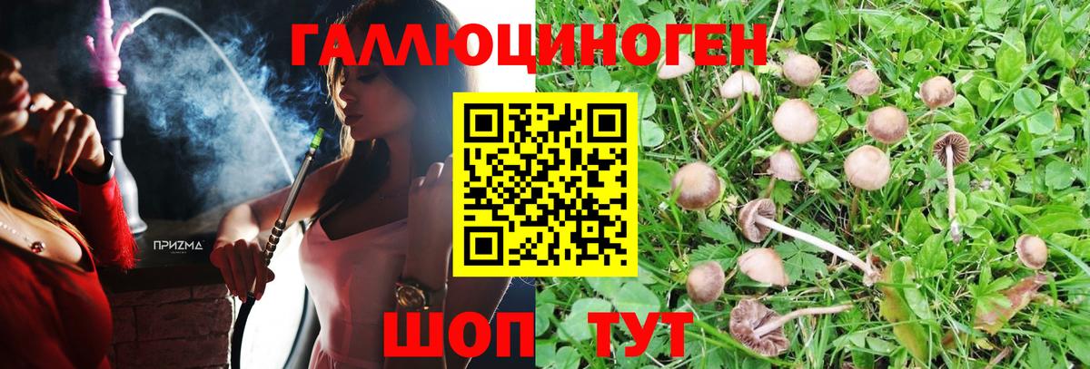 Псилоцибиновые грибы мухоморы  Галлюциногенные грибы прущие грибы  Вход с VPN  Спасск-Дальний 